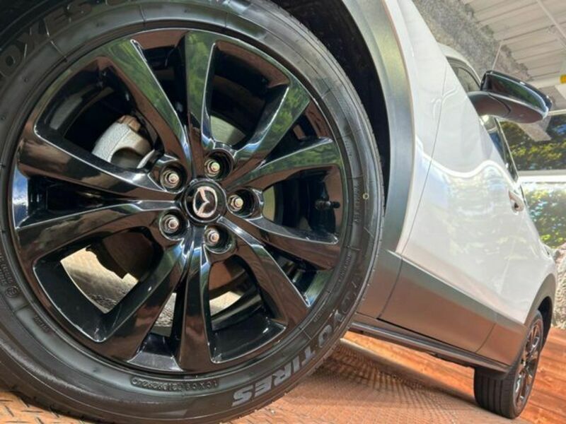 CX-30