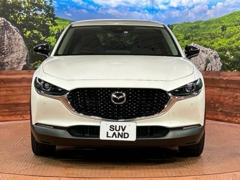 CX-30