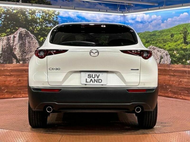 CX-30