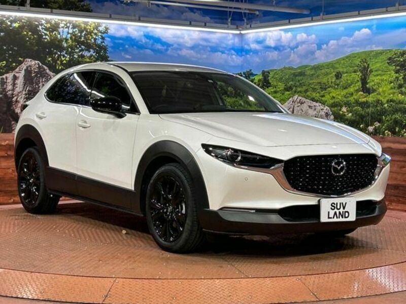 CX-30