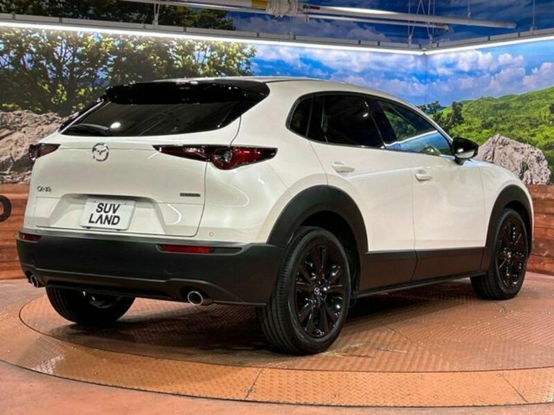 CX-30
