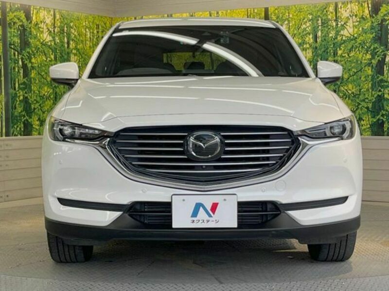 CX-8