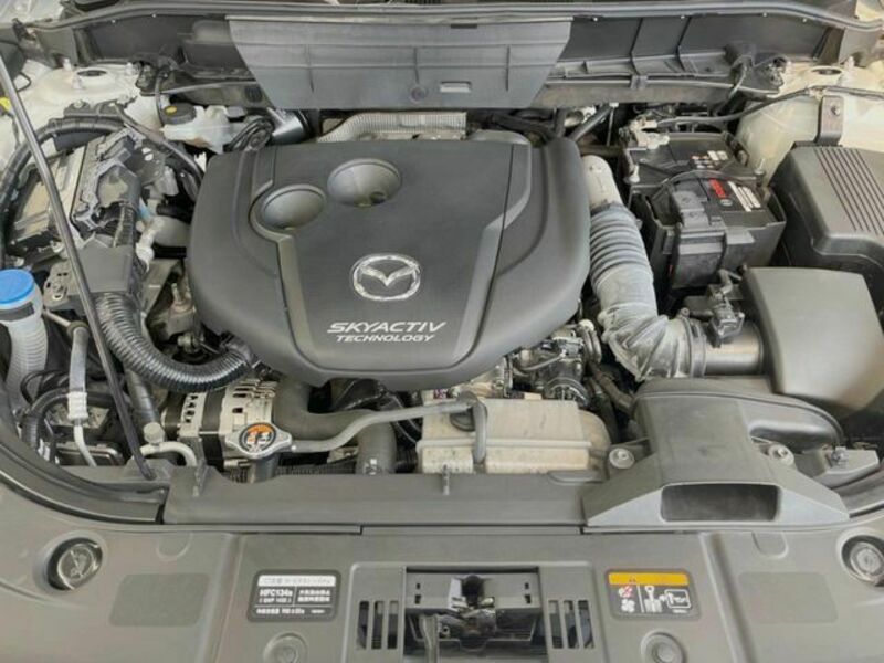 CX-8