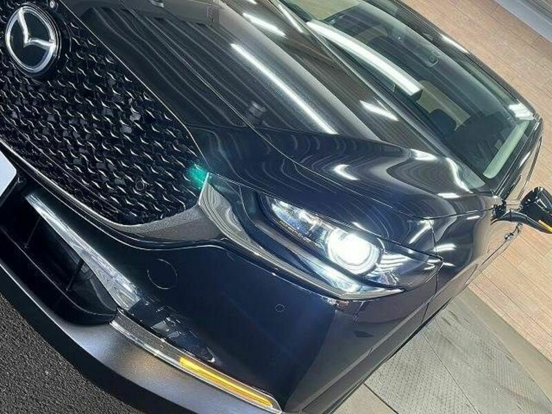 CX-30