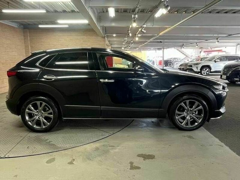 CX-30