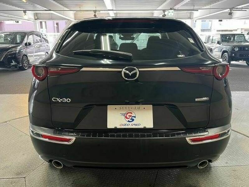 CX-30