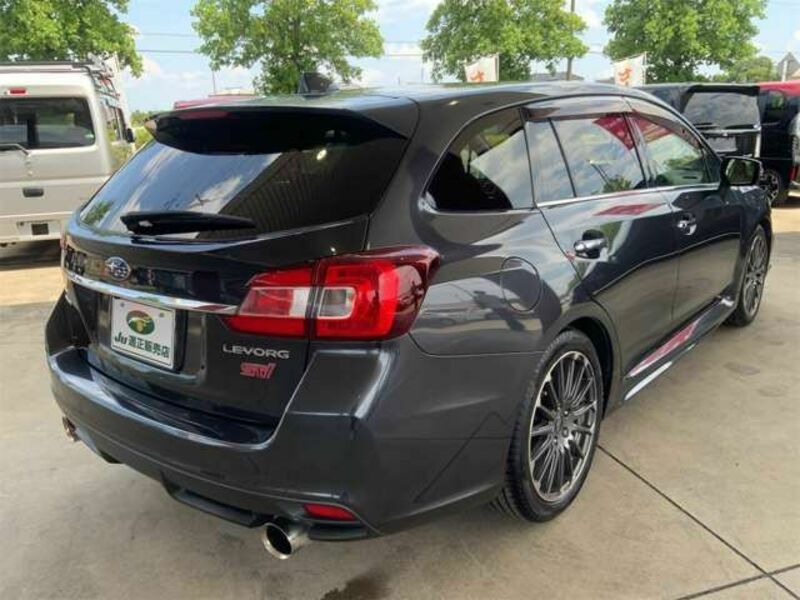 LEVORG