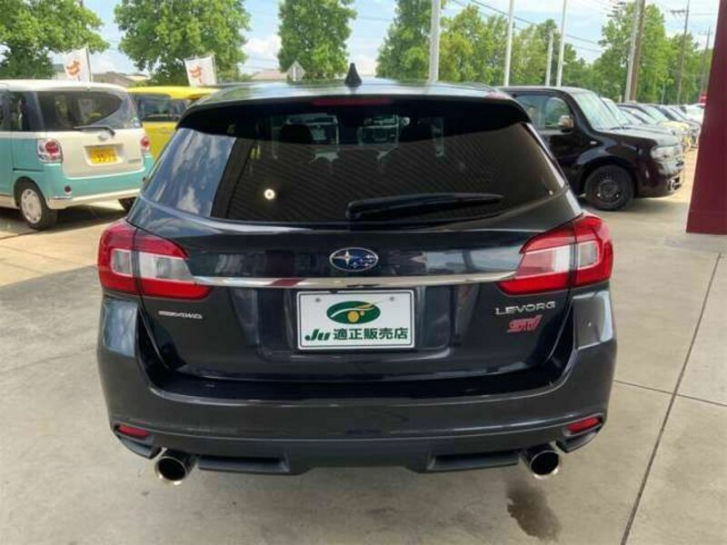 LEVORG