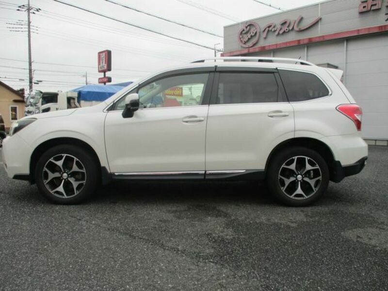 FORESTER