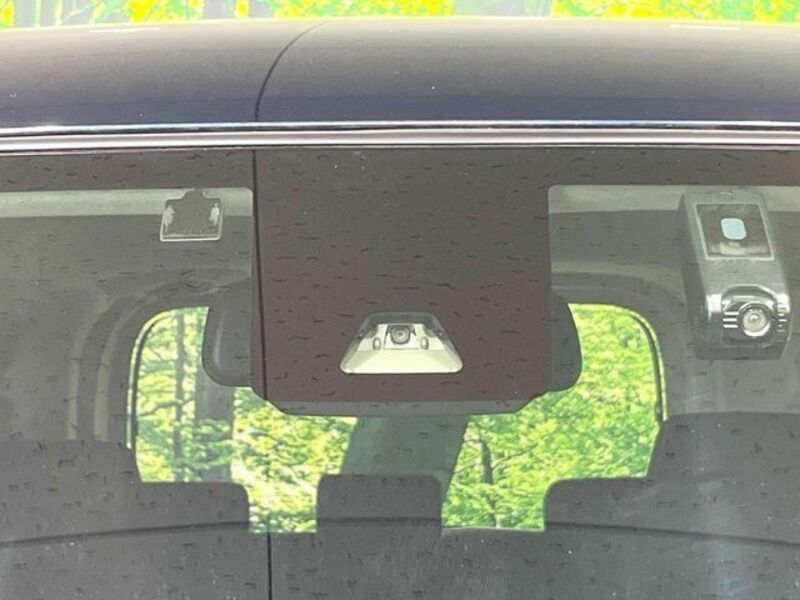 ROOMY