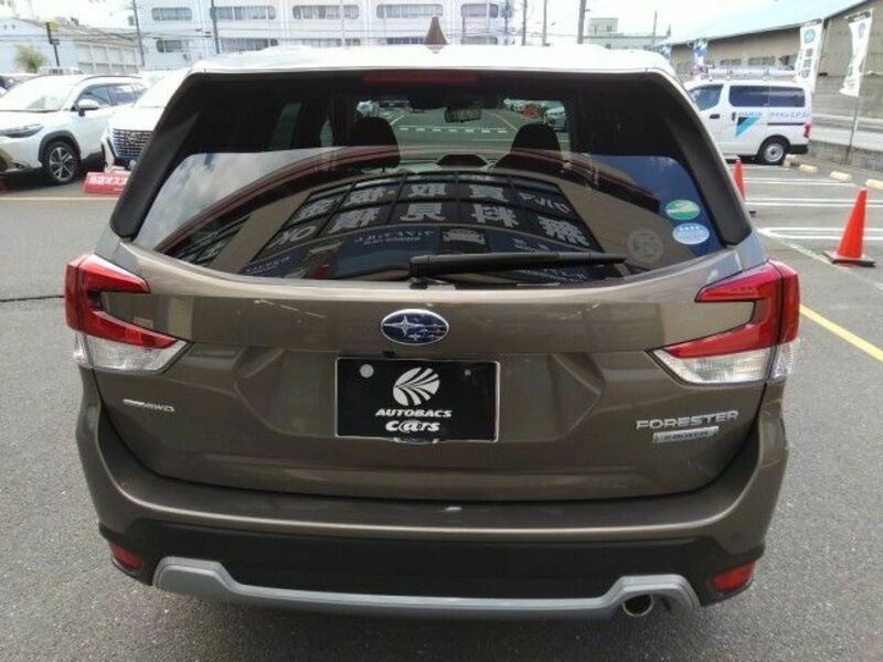 FORESTER