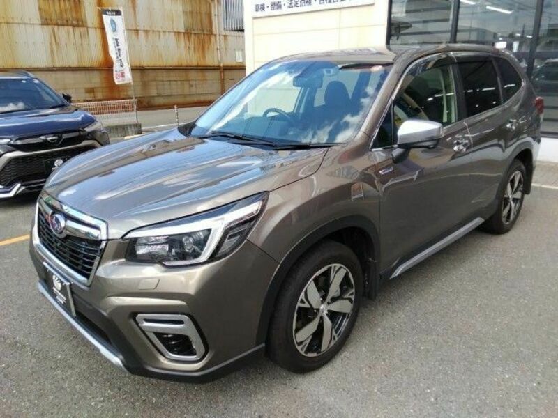 FORESTER