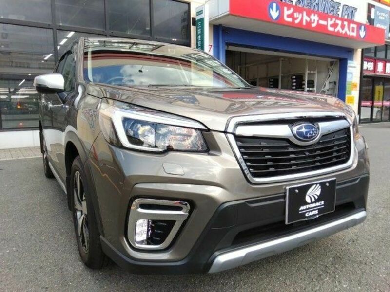 FORESTER