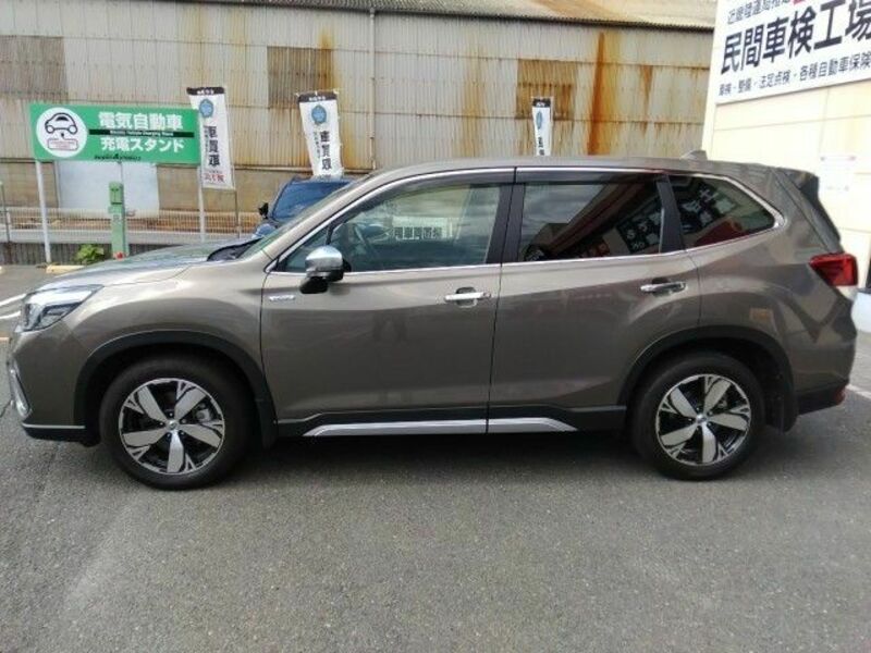 FORESTER