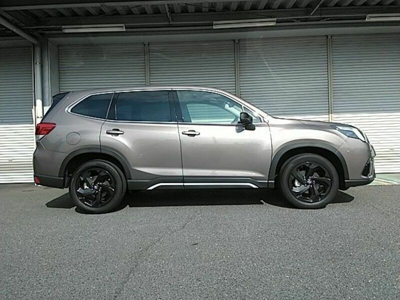 FORESTER