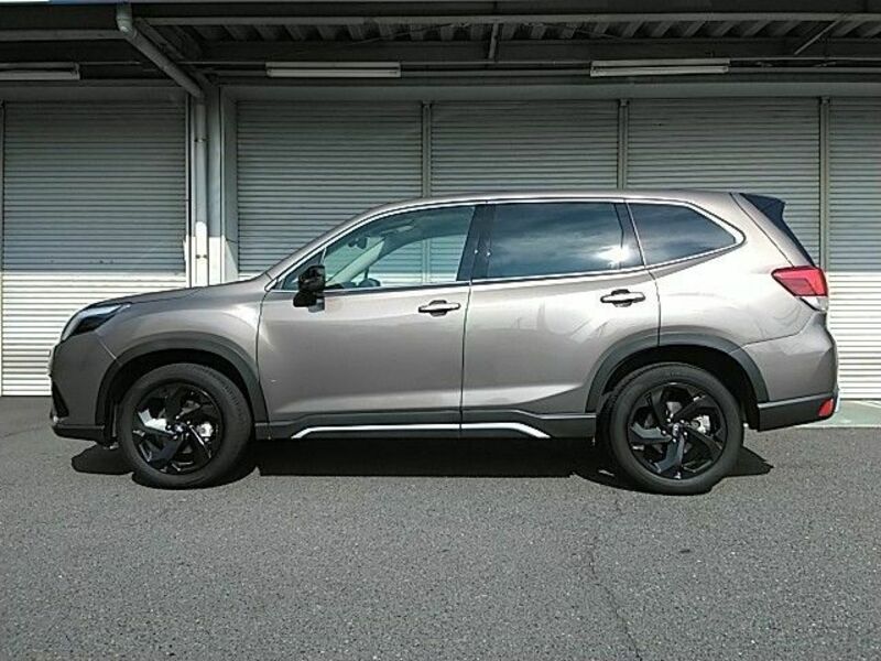FORESTER