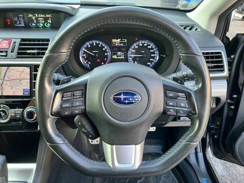 LEVORG