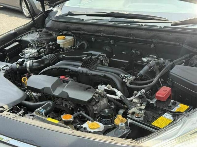 LEGACY OUTBACK