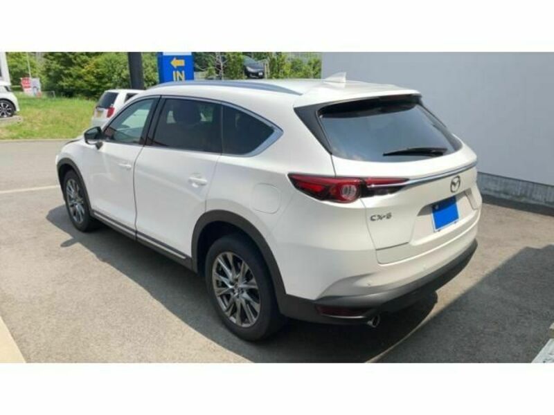 CX-8