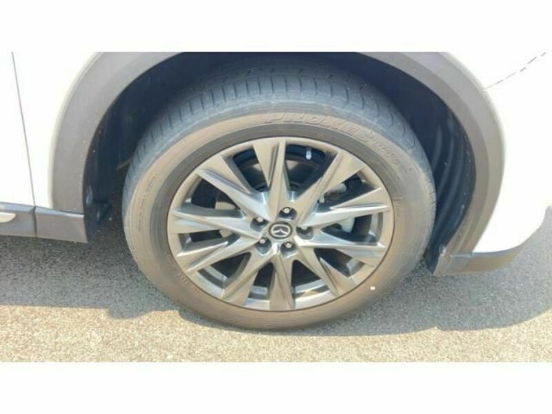 CX-8