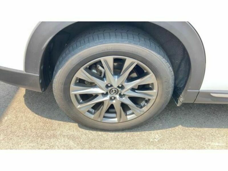 CX-8