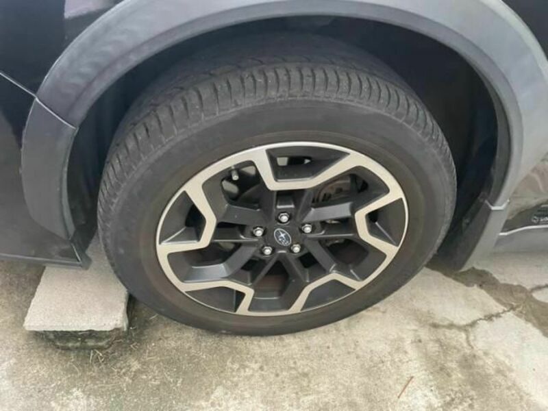 XV