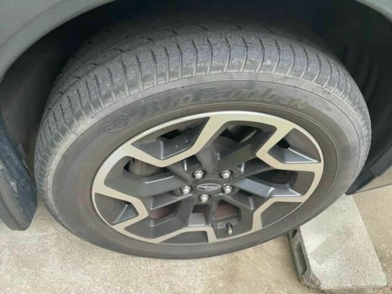 XV
