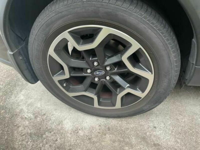 XV