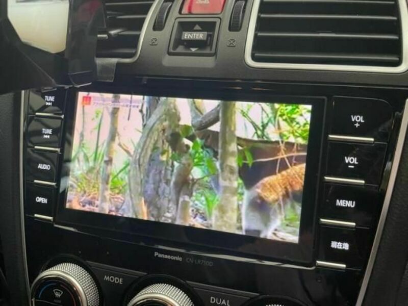 XV