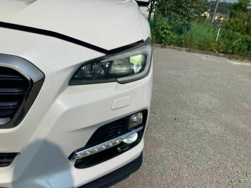 LEVORG