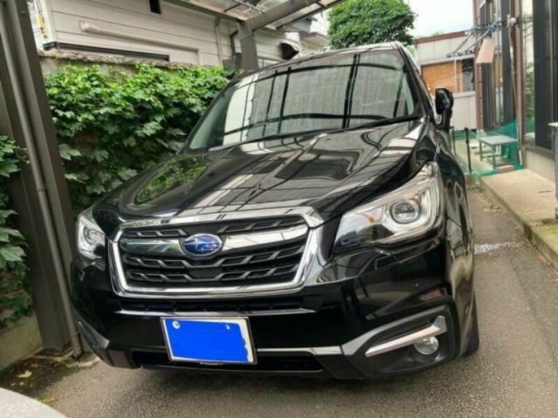 FORESTER