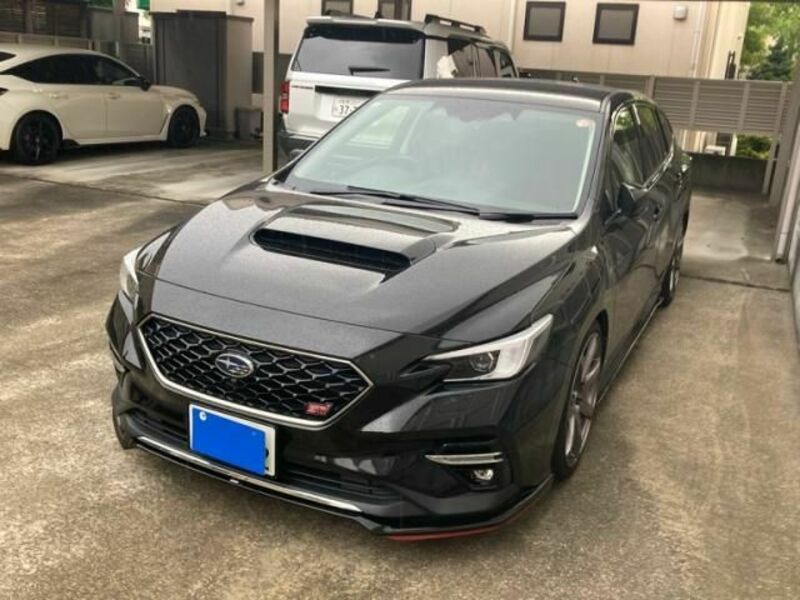 LEVORG