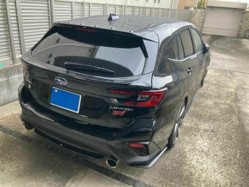 LEVORG