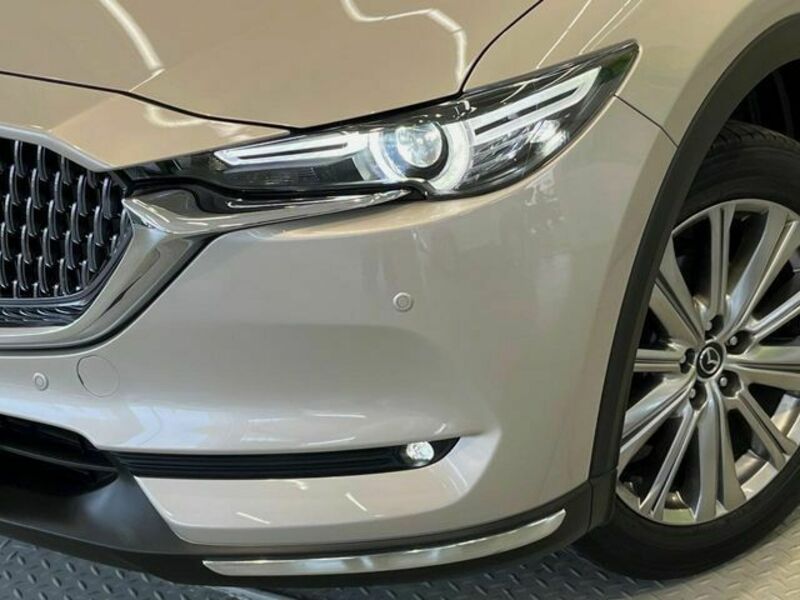 CX-8
