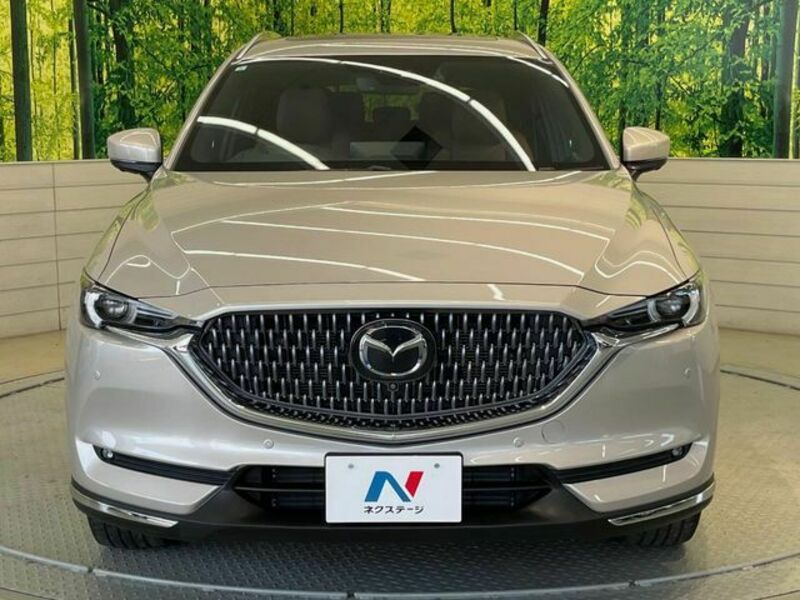 CX-8
