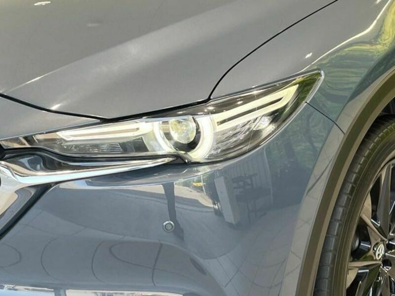 CX-8