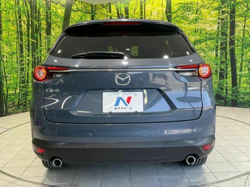 CX-8