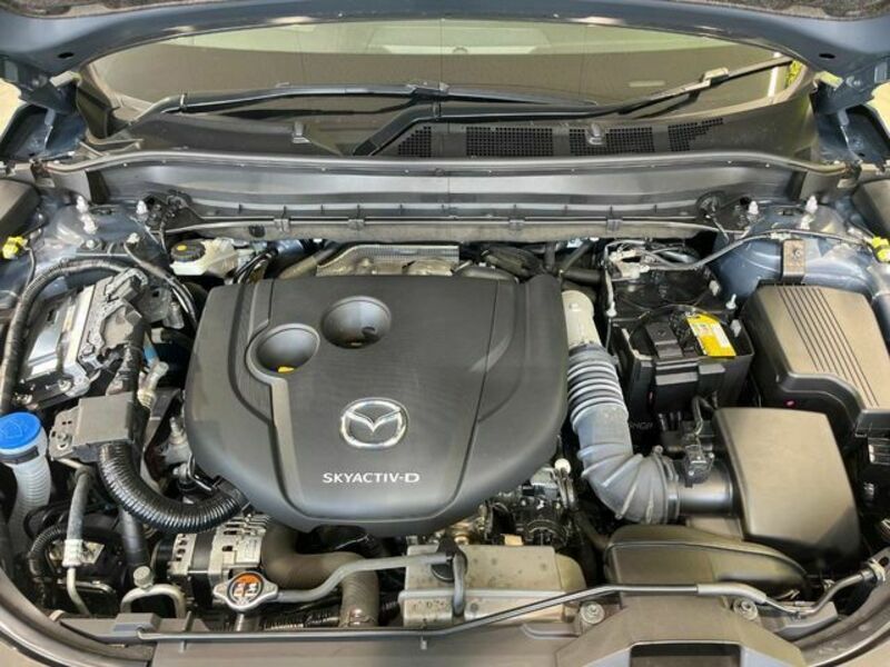 CX-8