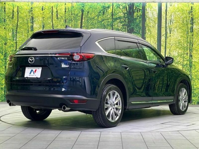 CX-8