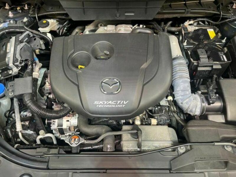 CX-8