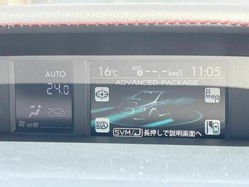 LEVORG