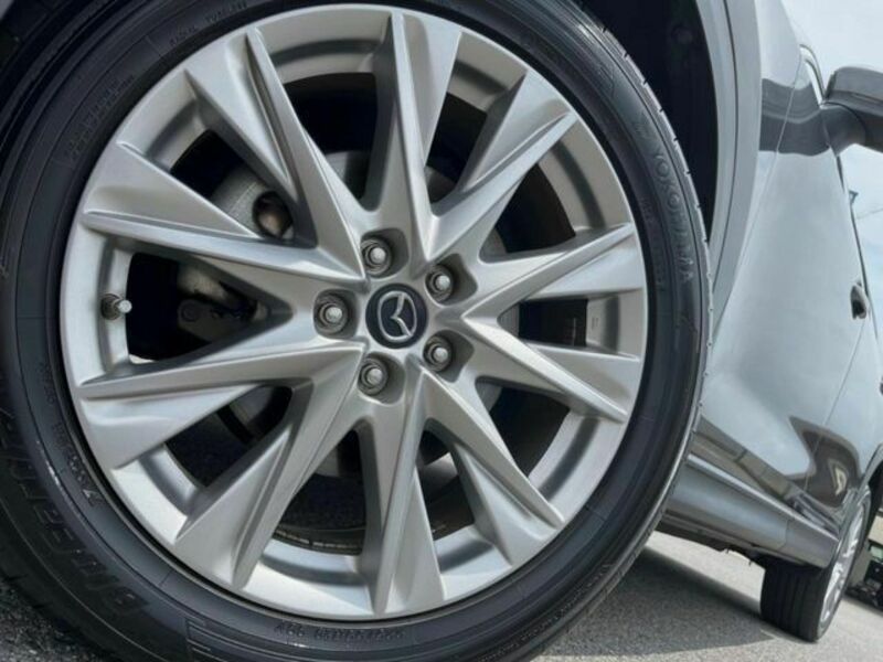 CX-8