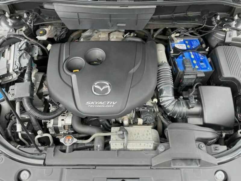 CX-8