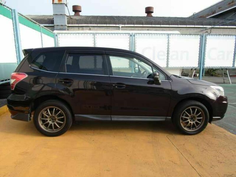 FORESTER