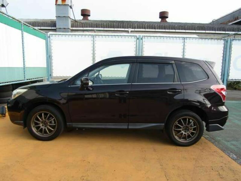 FORESTER
