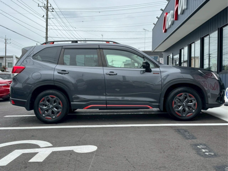 FORESTER