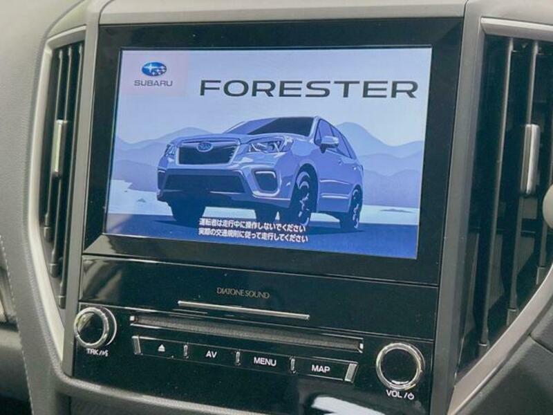 FORESTER