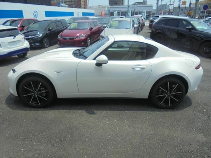 ROADSTER RF
