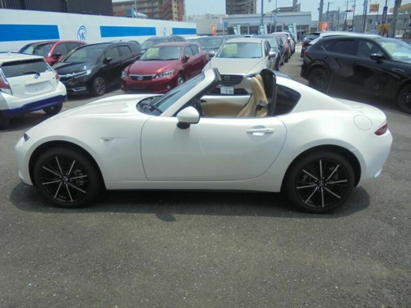 ROADSTER RF