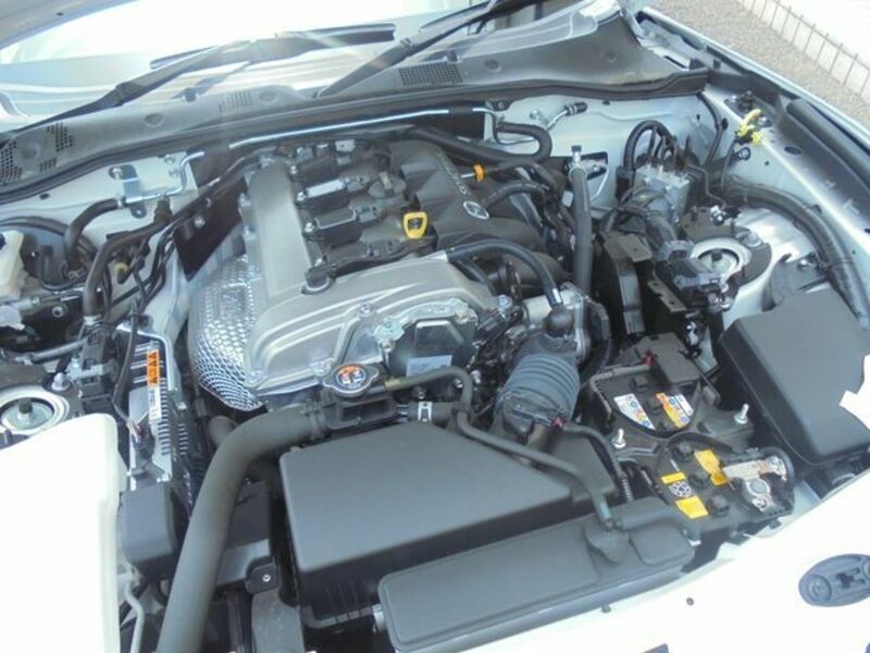 ROADSTER RF